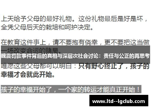 魏震罚款事件背后的真相与深层次社会讨论：责任与公正的再思考