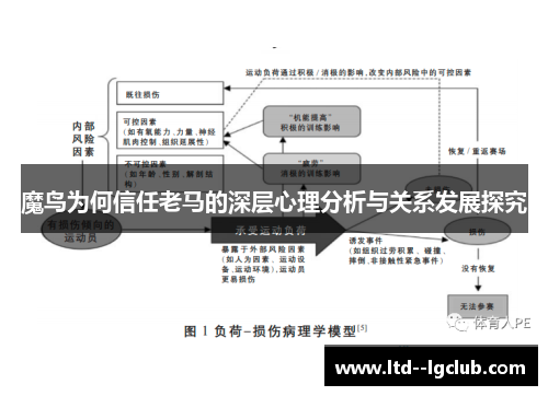 魔鸟为何信任老马的深层心理分析与关系发展探究